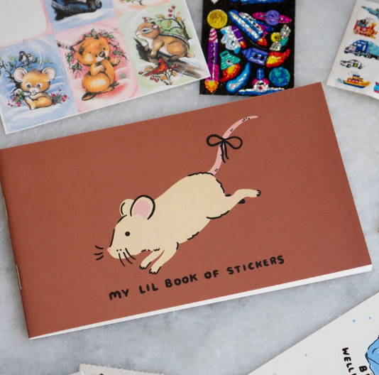 Pocket Sticker Book