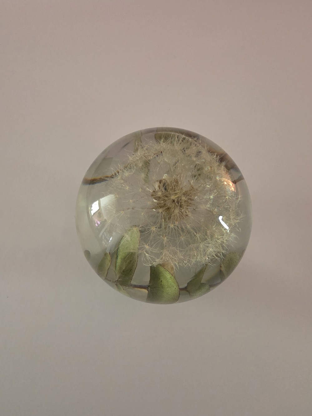 Sunshine’s Floral Art