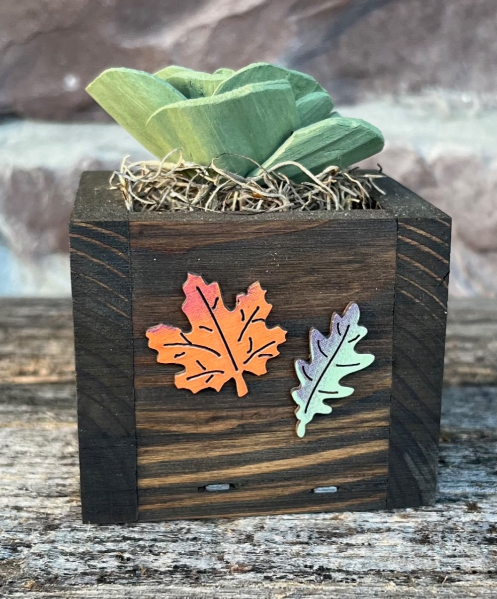 Timber Petals
