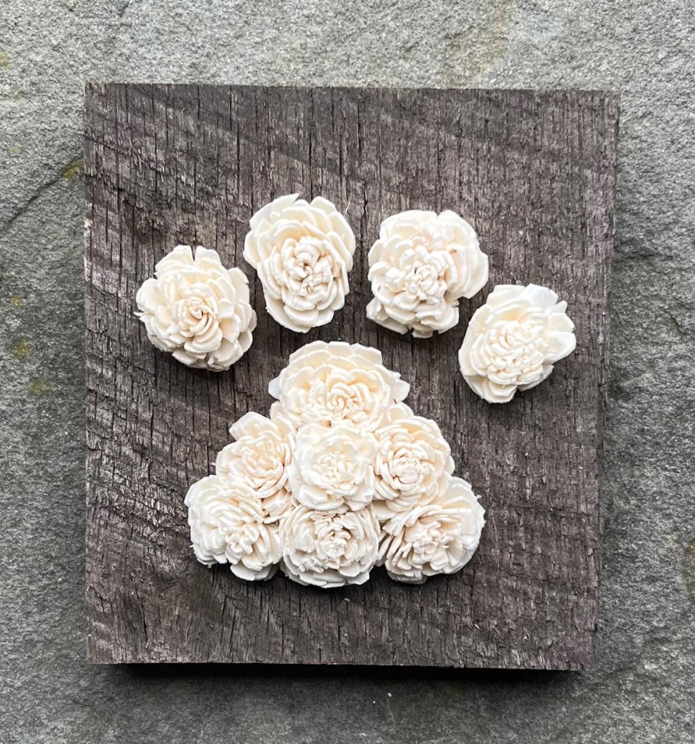 Timber Petals