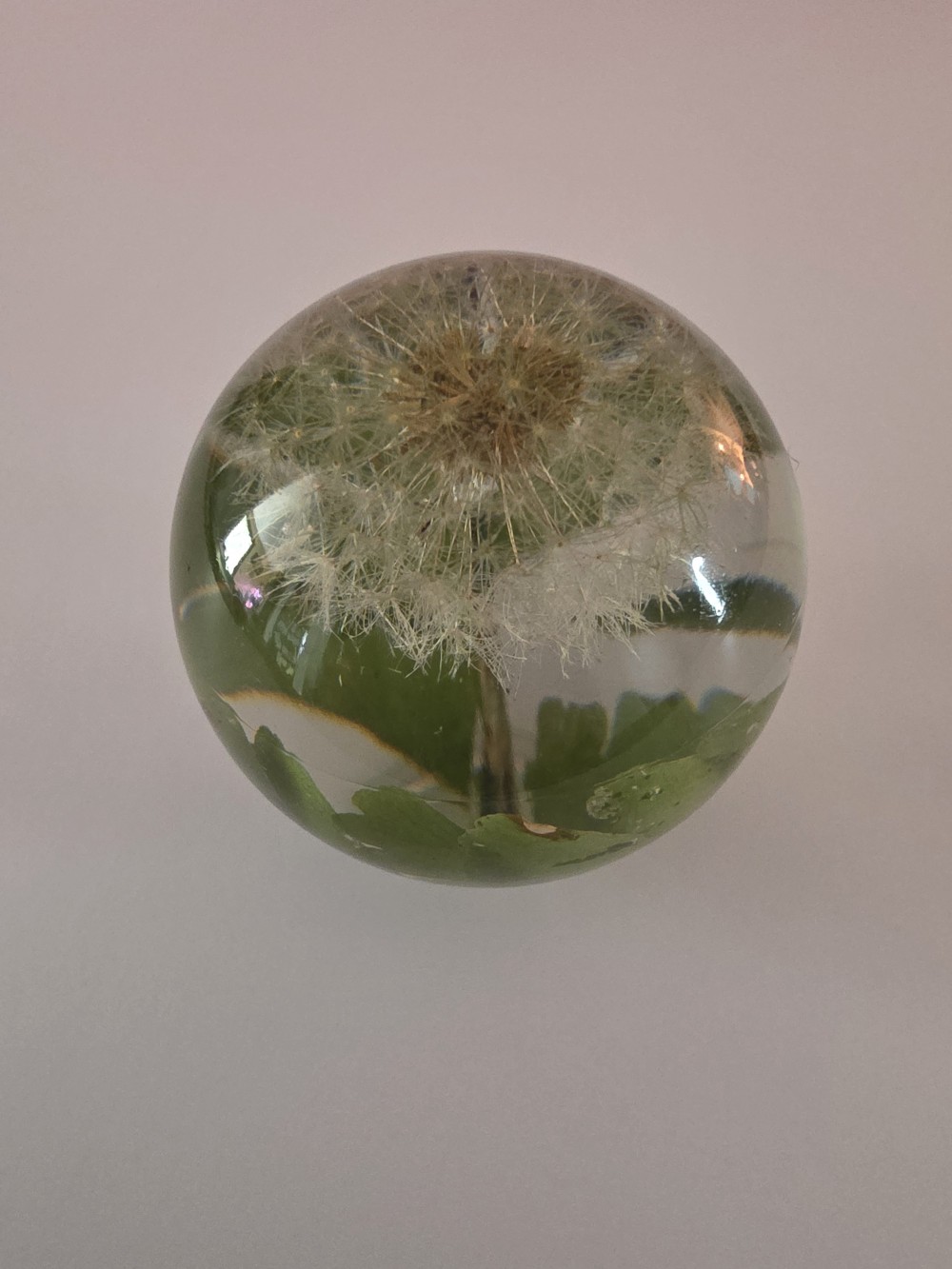 Sunshine’s Floral Art