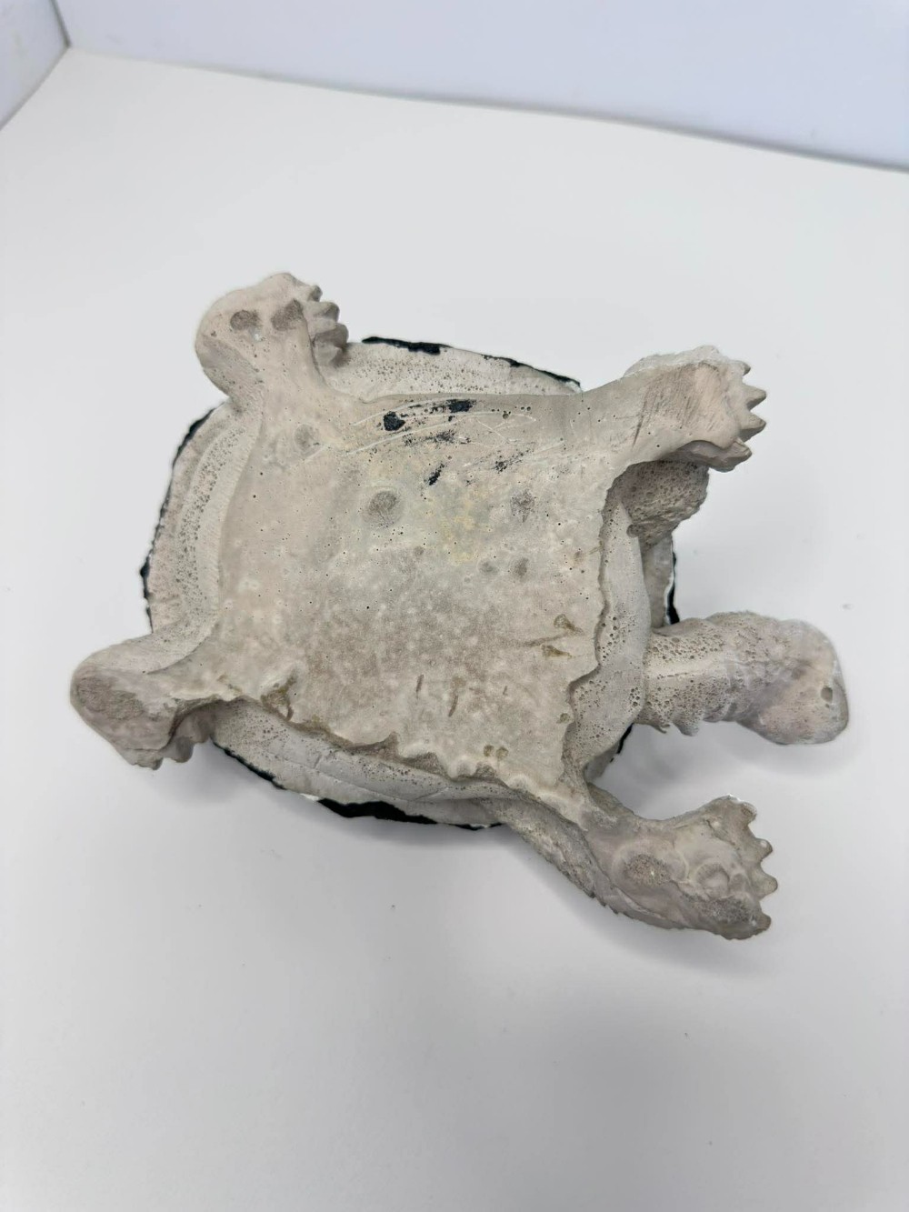 Large Blue Flower Turtle