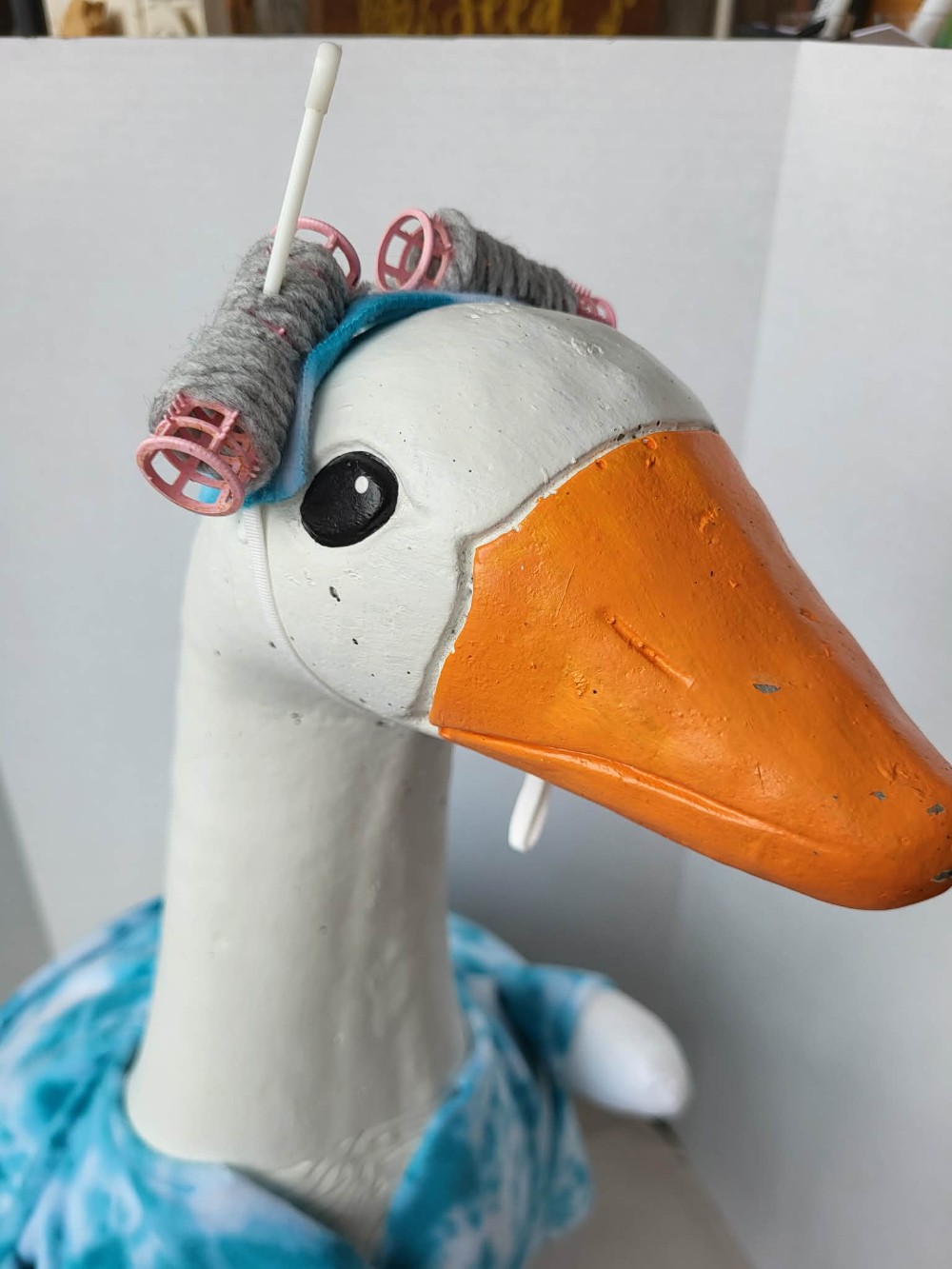 Goose outfit aqua bathrobe with curlers