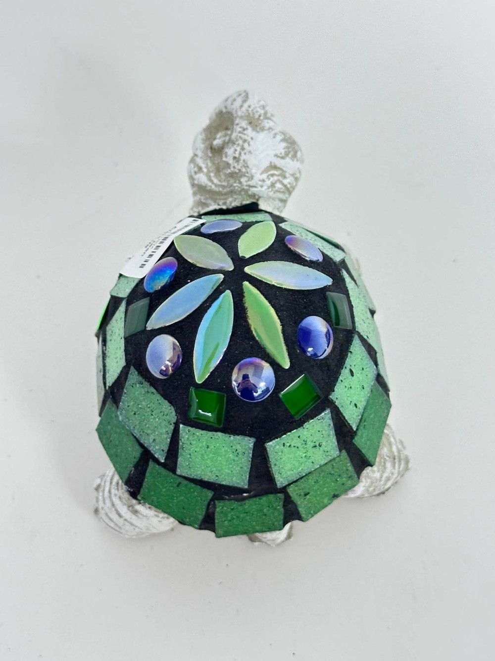 Clara teen turtle