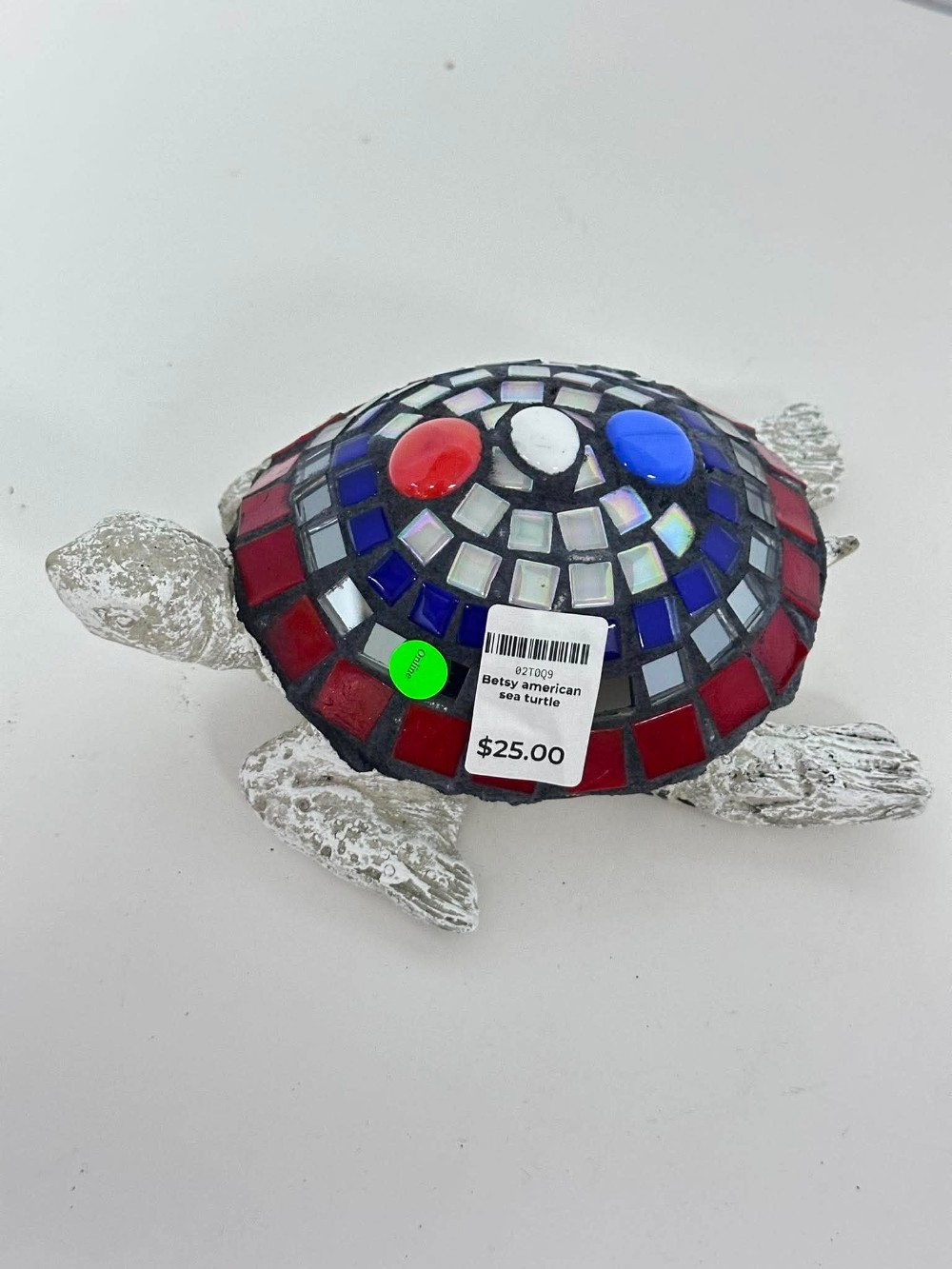Betsy american sea turtle