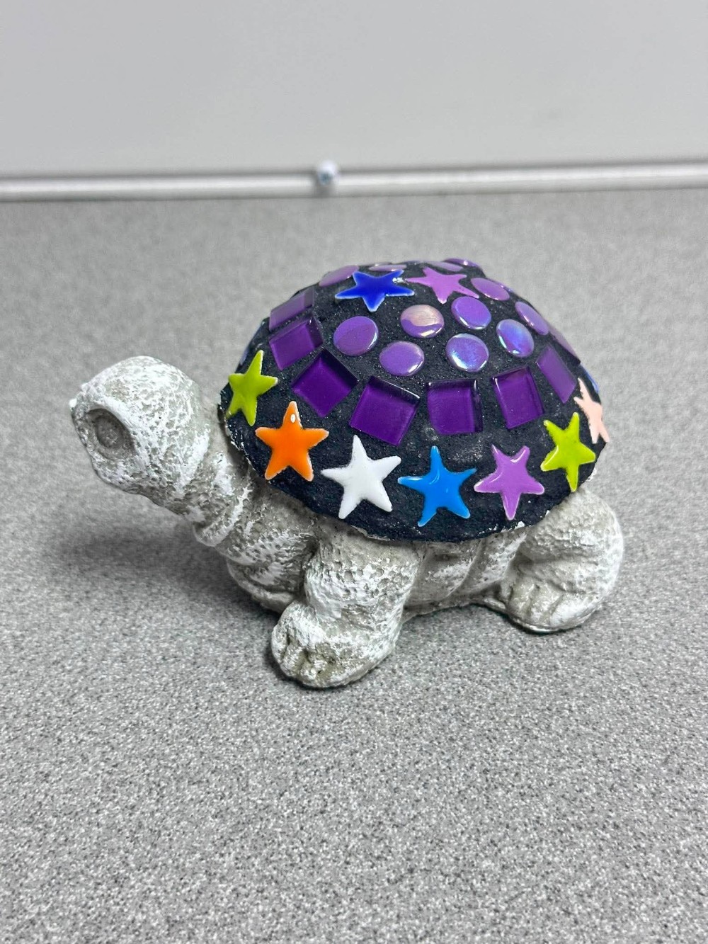 Roberta baby turtle