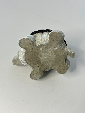 Blue Stars W/Red Mosaic Turtle