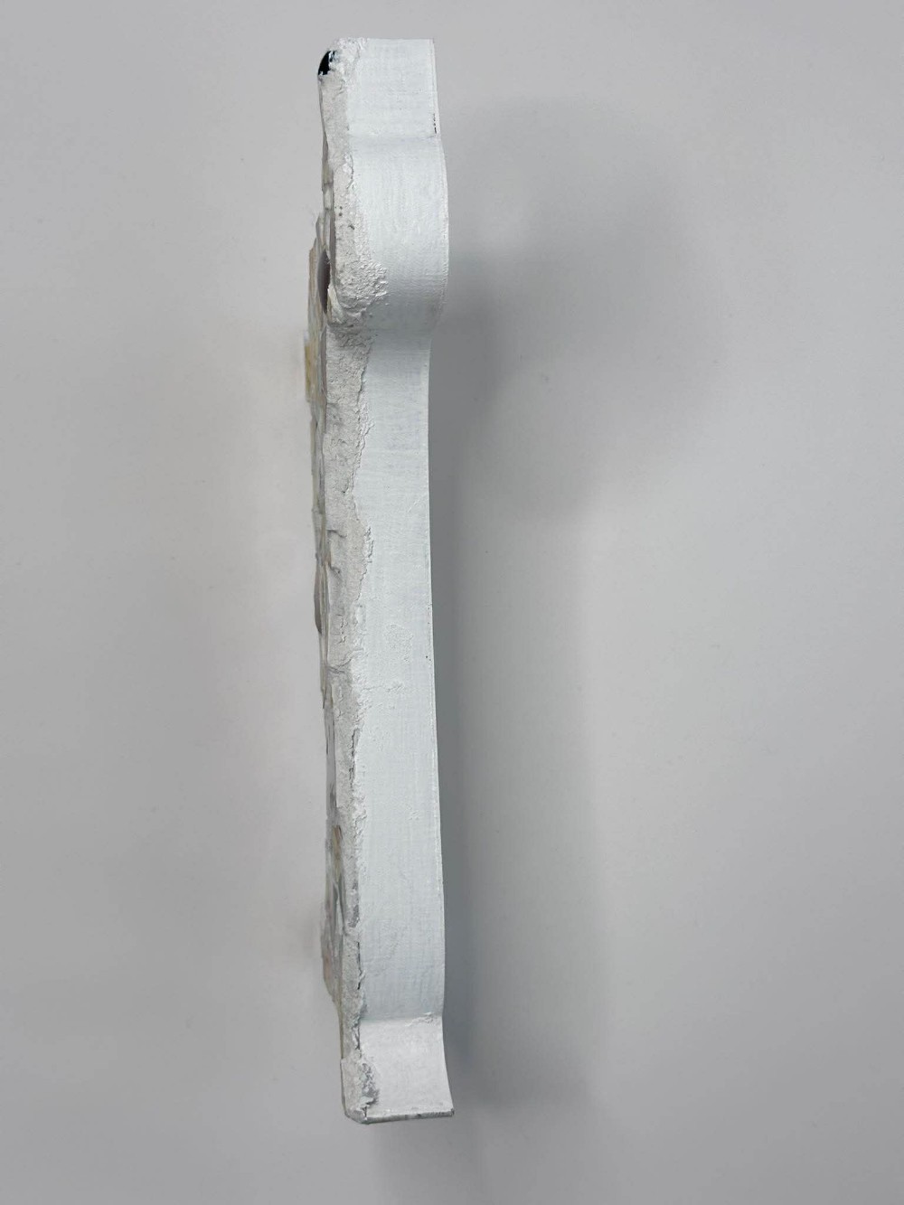 Sunflower weiner dog