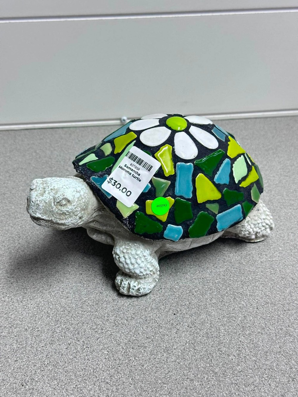 Samantha Momma Turtle