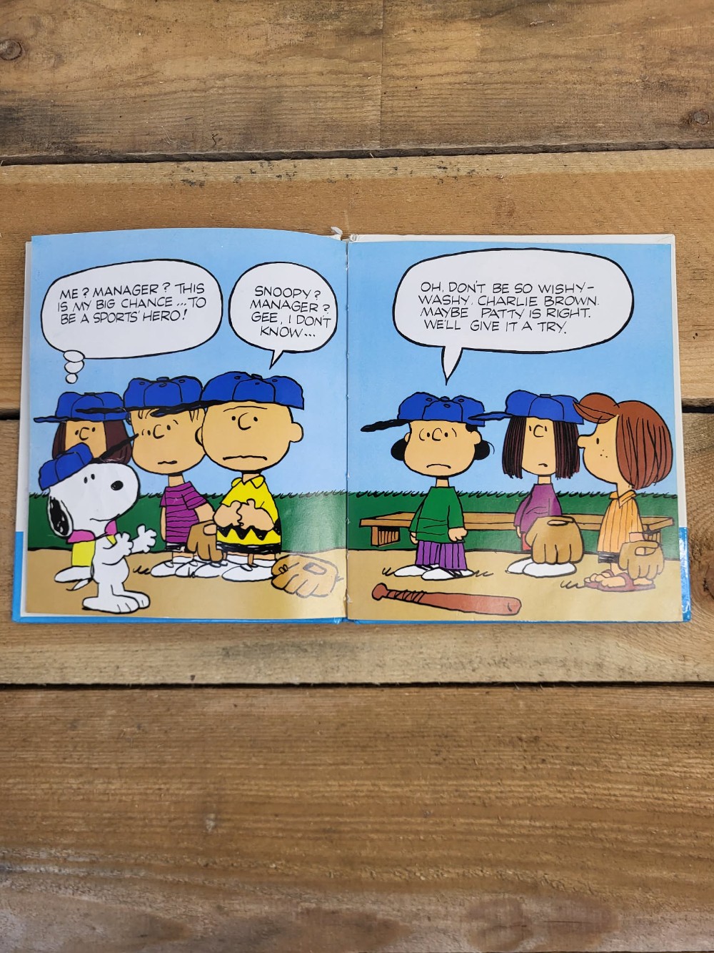 Snoopy's Baseball Game Book