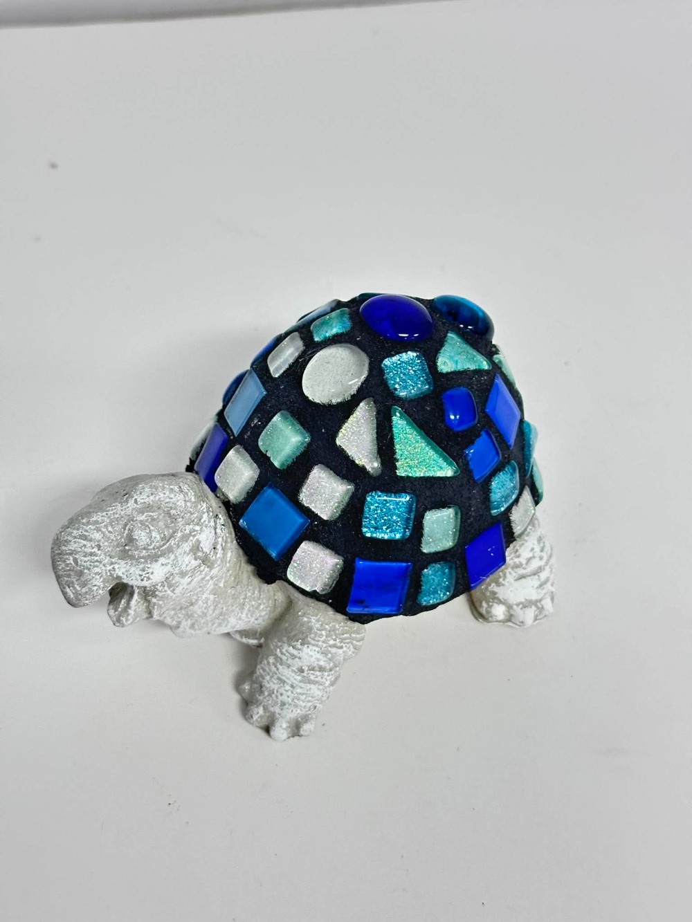 noah teen blue turtle