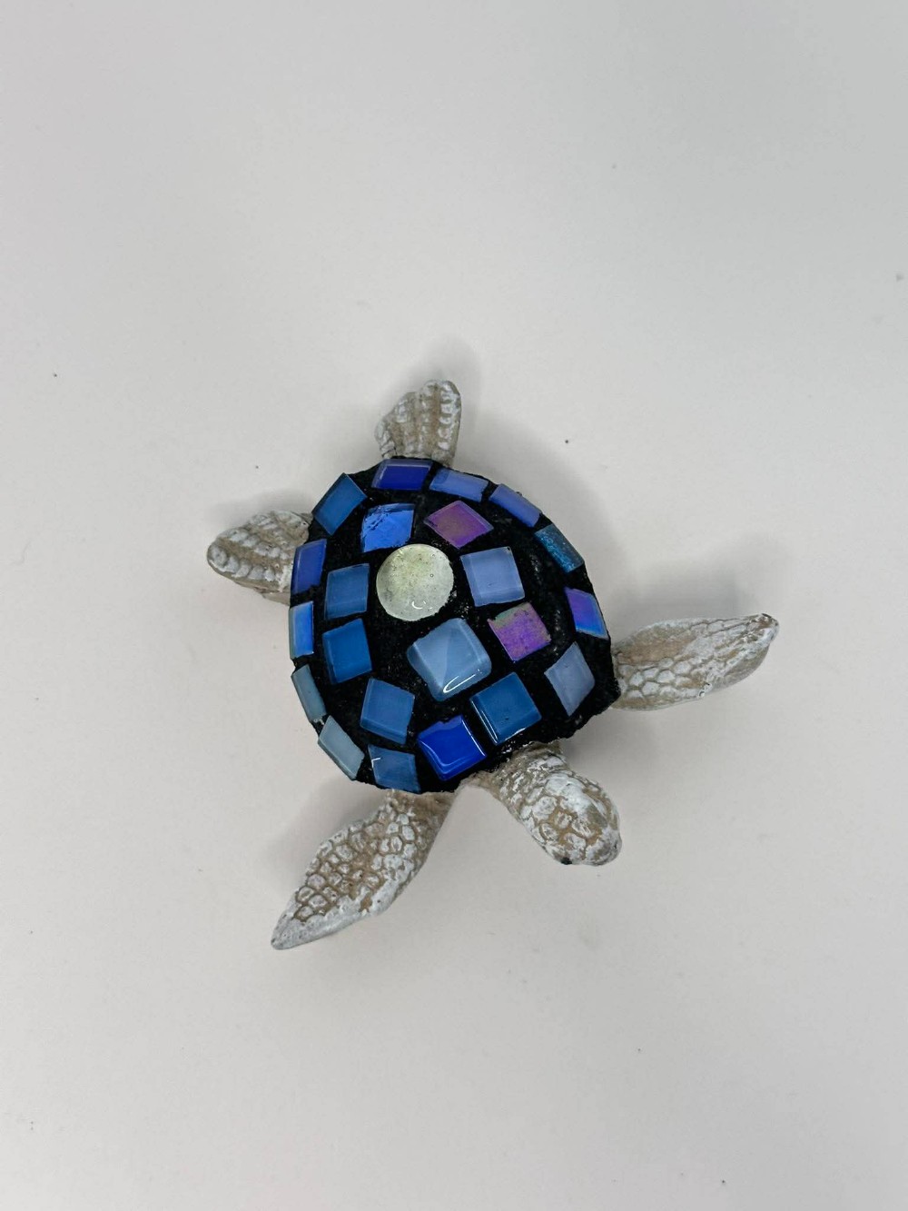 Blue Toned Baby Sea Turtle