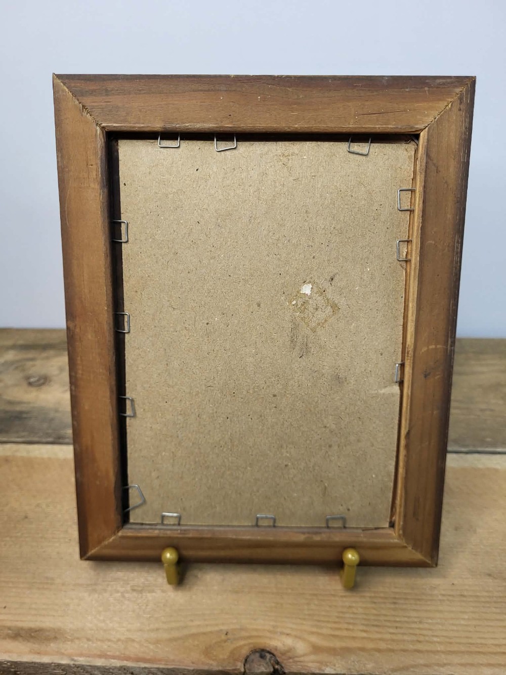 Vtg Butterfly Portrait