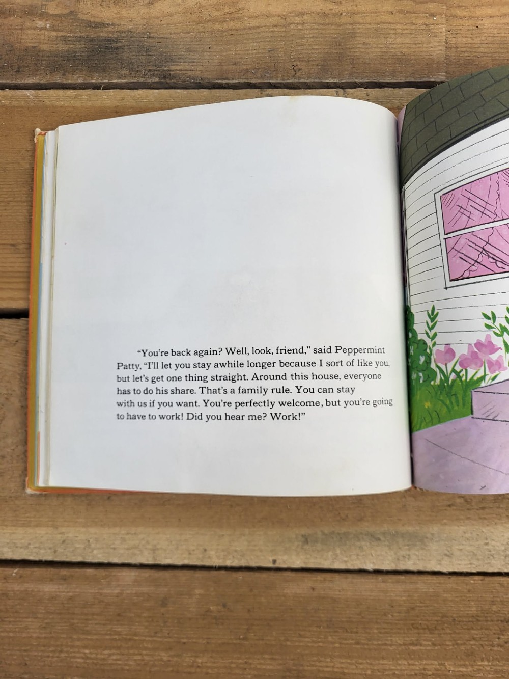 He's Your Dog, Charlie Brown! Book