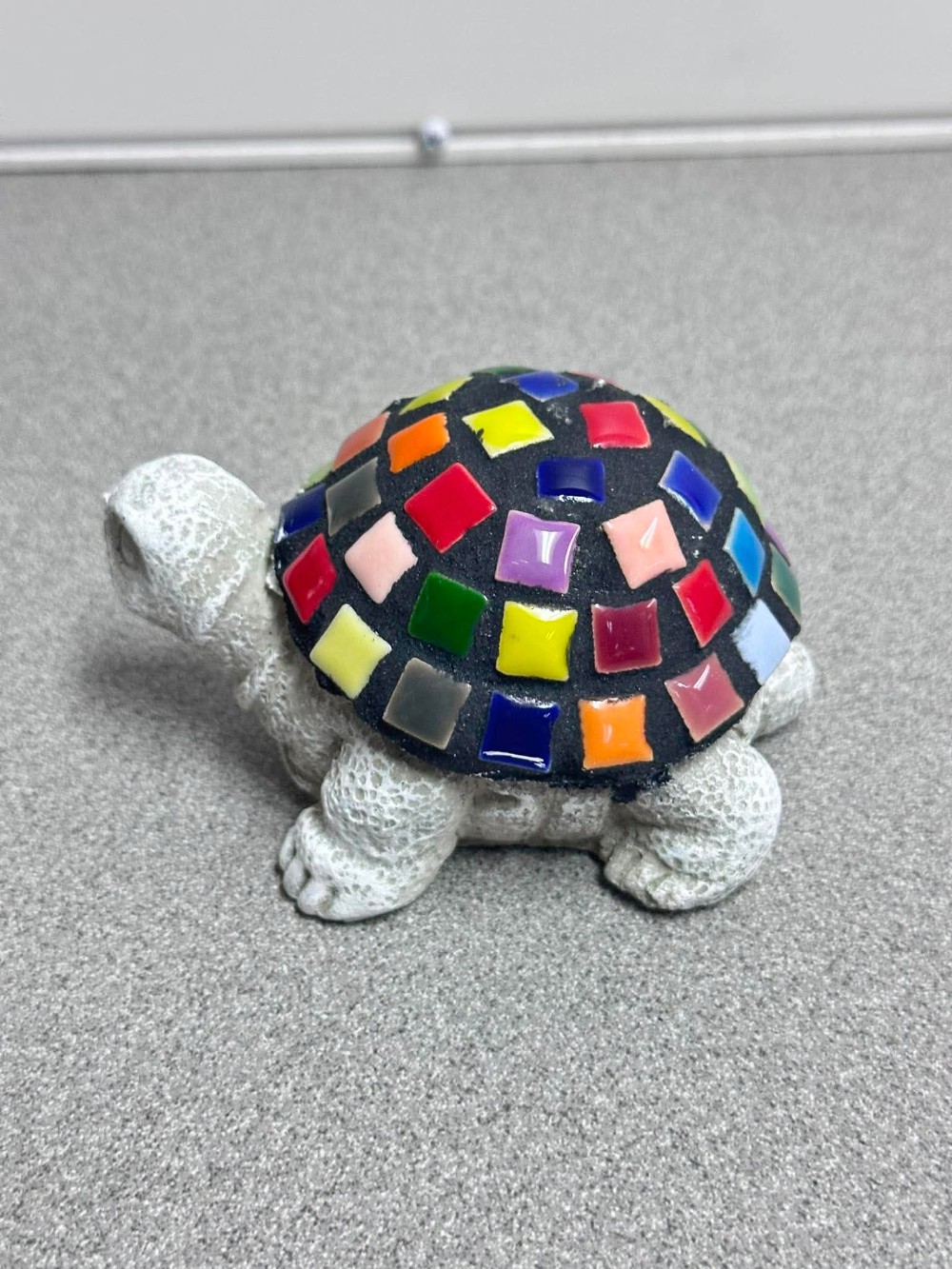 rainbow baby turtle