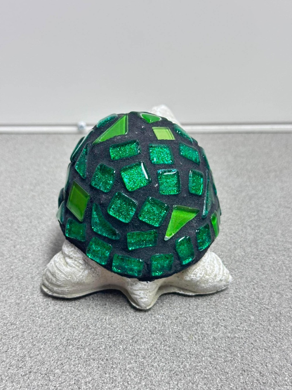 Collin teen turtle