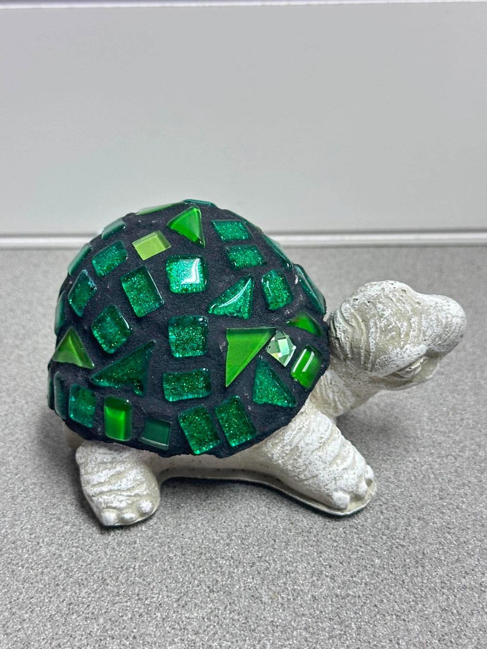 Collin teen turtle