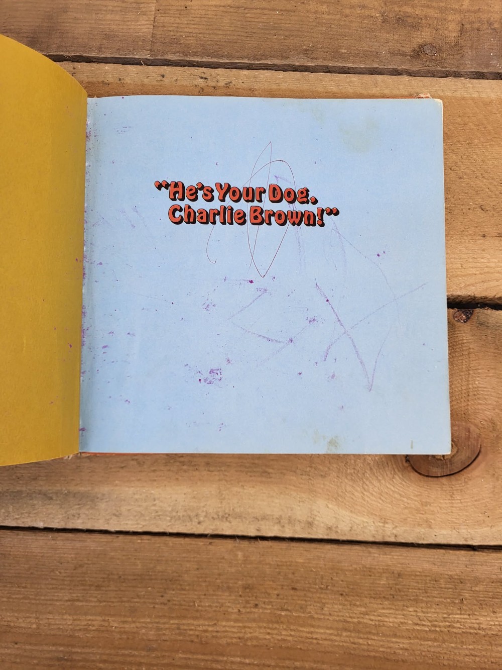 He's Your Dog, Charlie Brown! Book