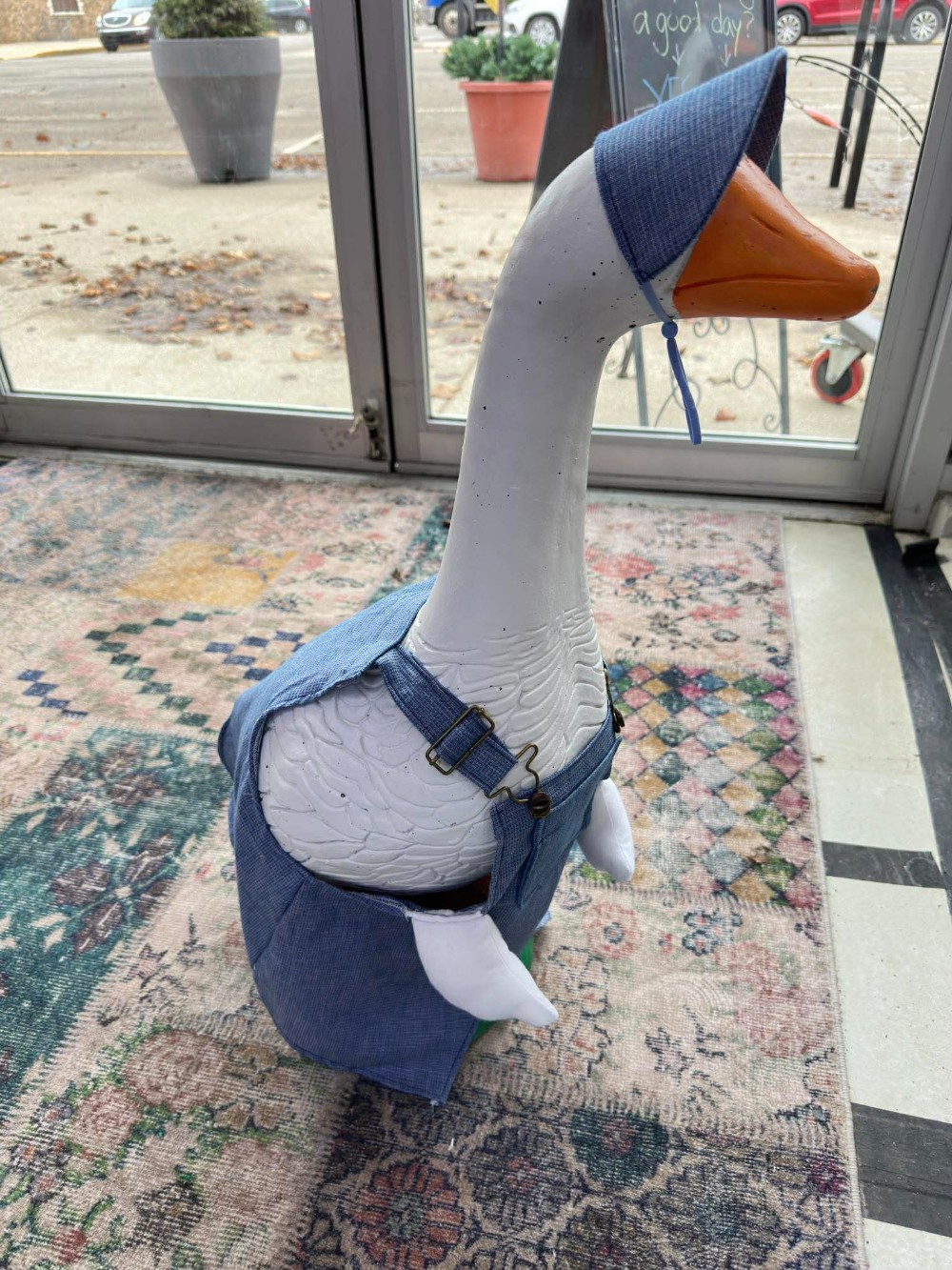 Goose outfit Jean overalls