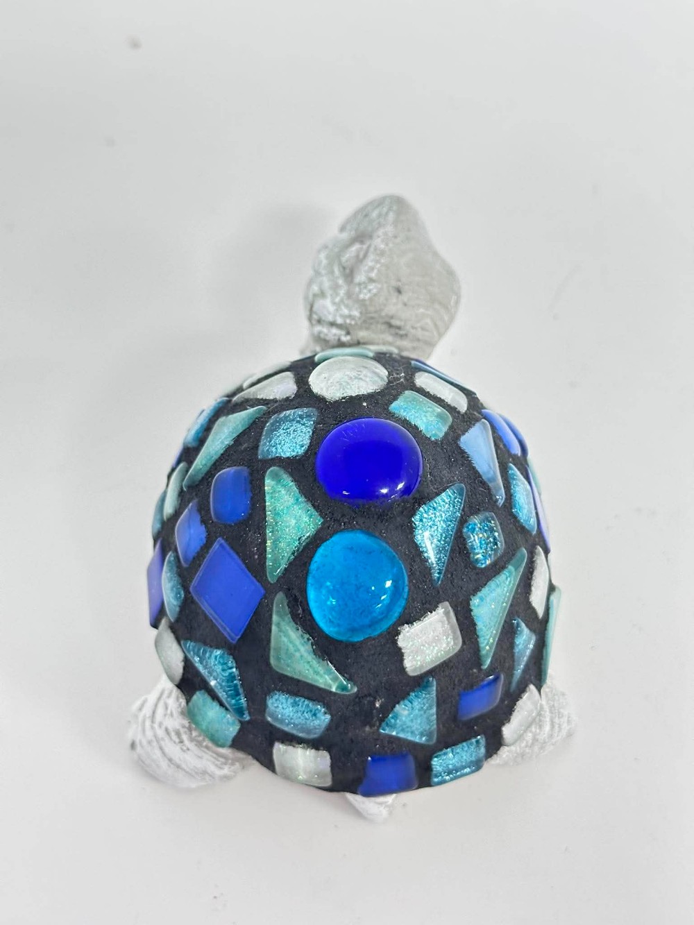 noah teen blue turtle