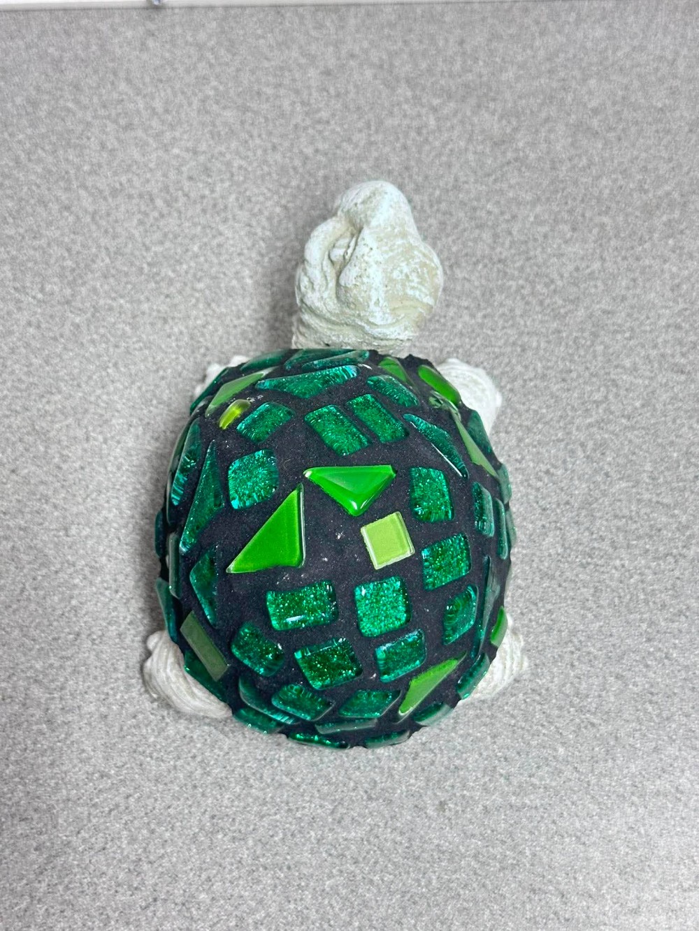 Collin teen turtle