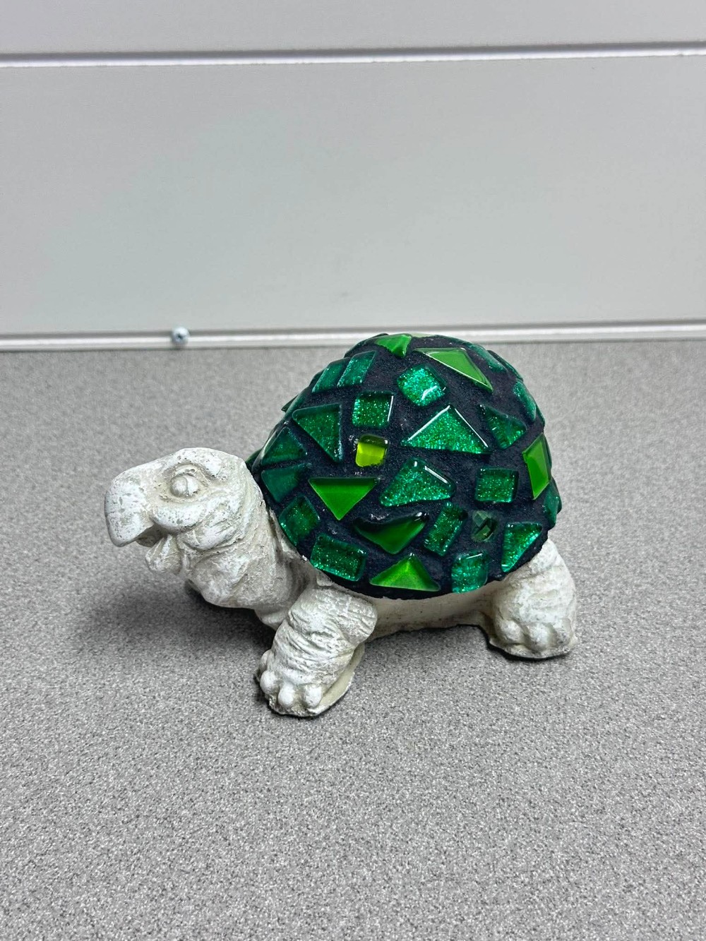Collin teen turtle