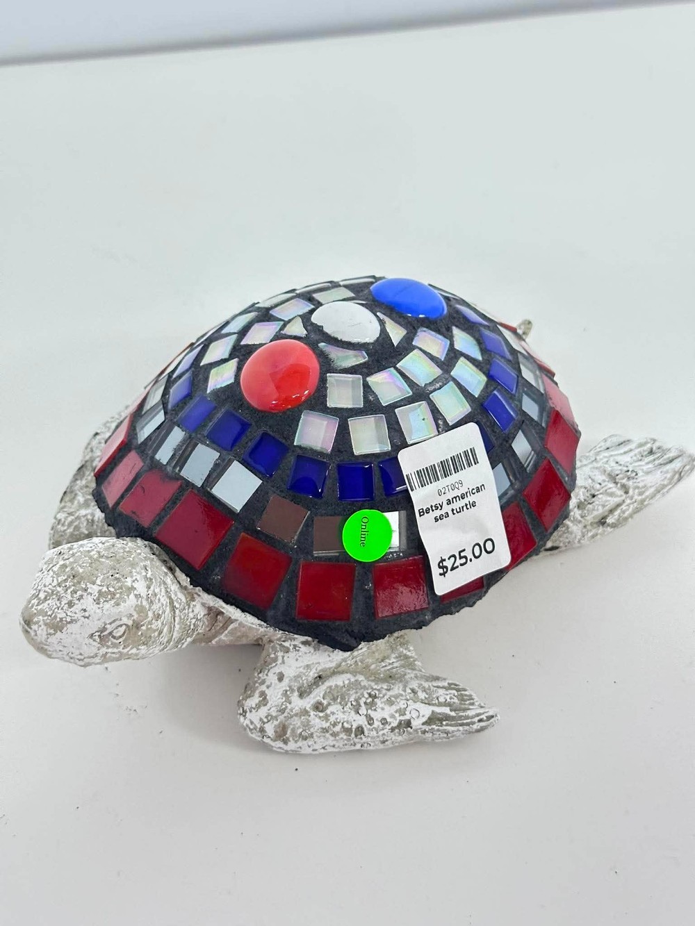 Betsy american sea turtle