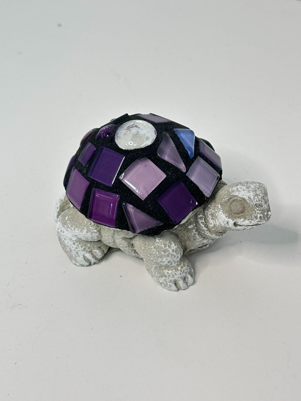 Angelaconcrete baby turtle with purple