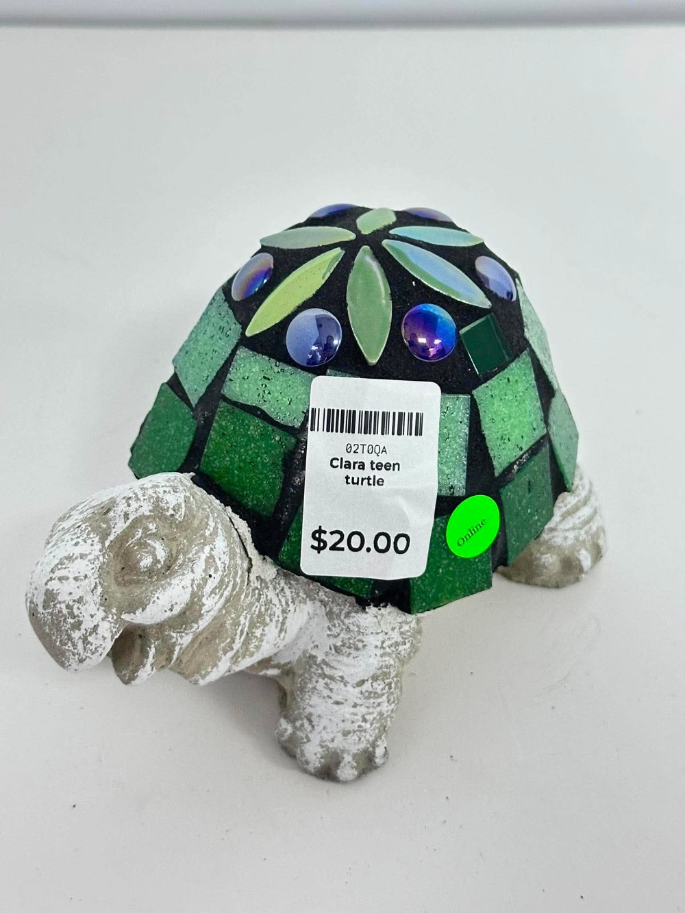 Clara teen turtle