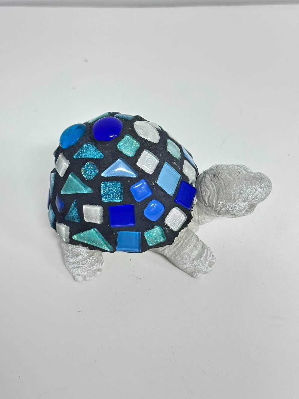 noah teen blue turtle