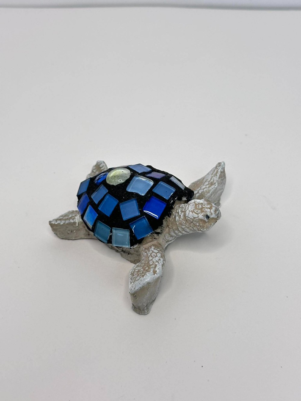 Blue Toned Baby Sea Turtle