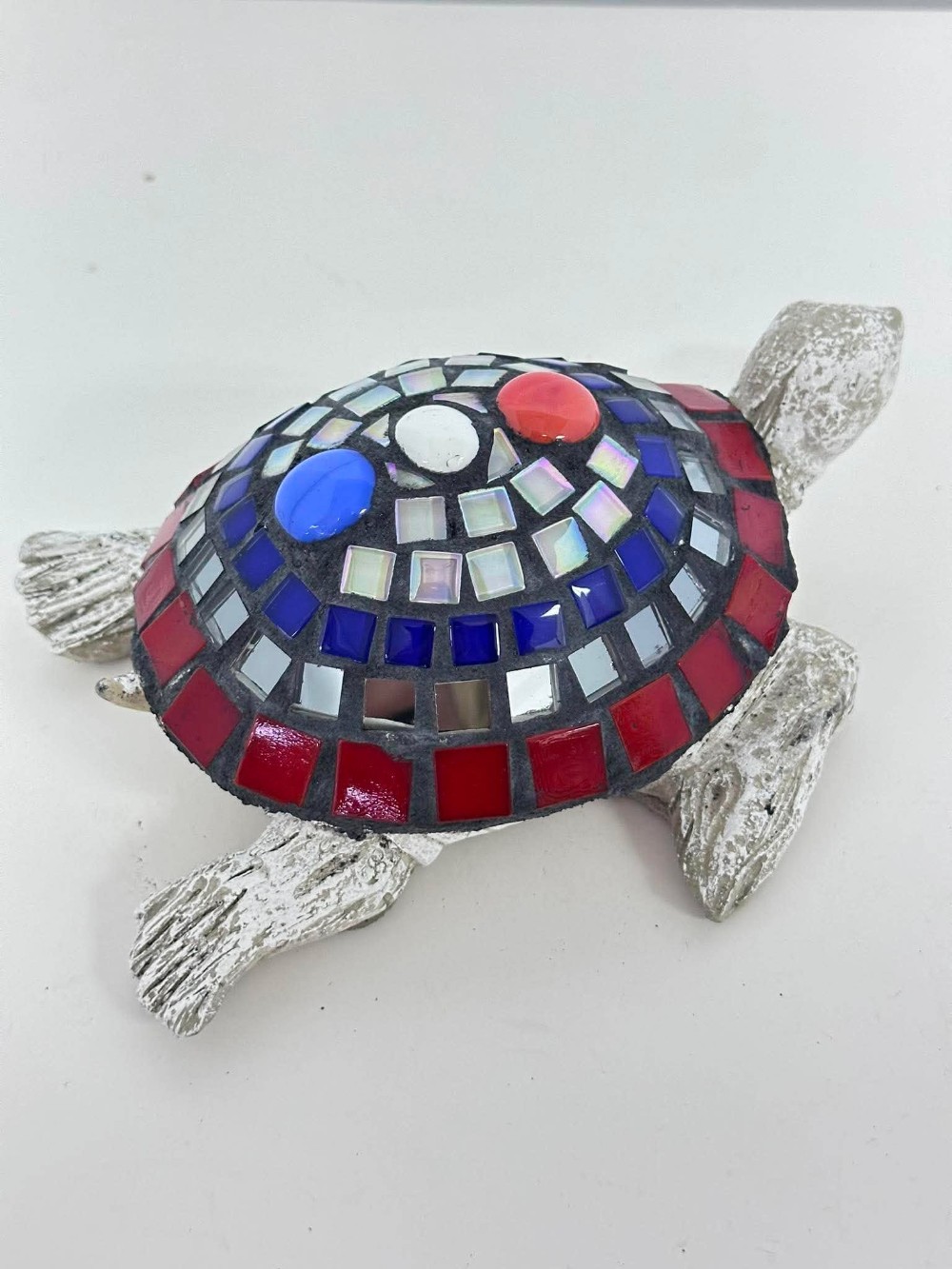 Betsy american sea turtle