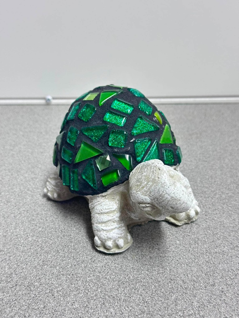 Collin teen turtle