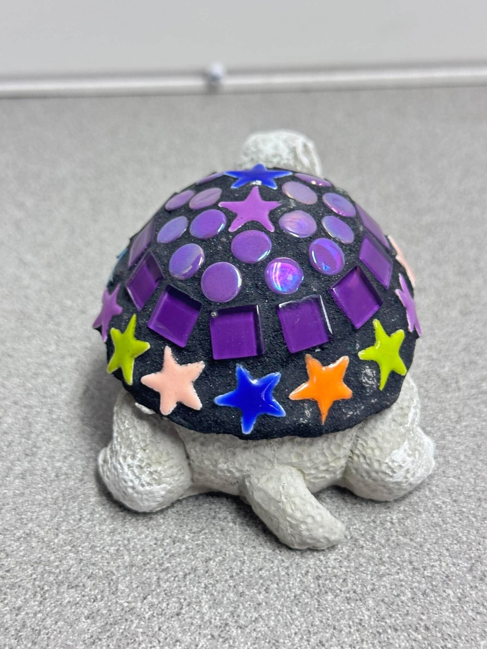 Roberta baby turtle