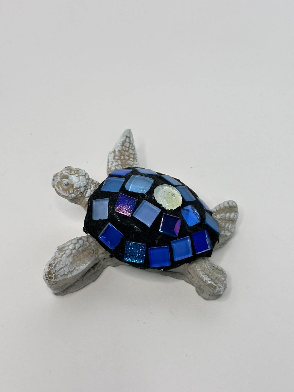 Blue Toned Baby Sea Turtle