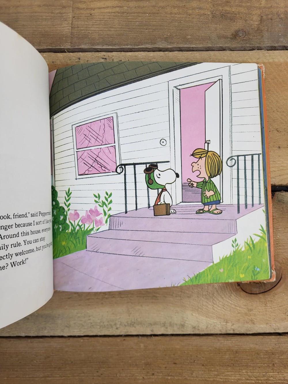 He's Your Dog, Charlie Brown! Book