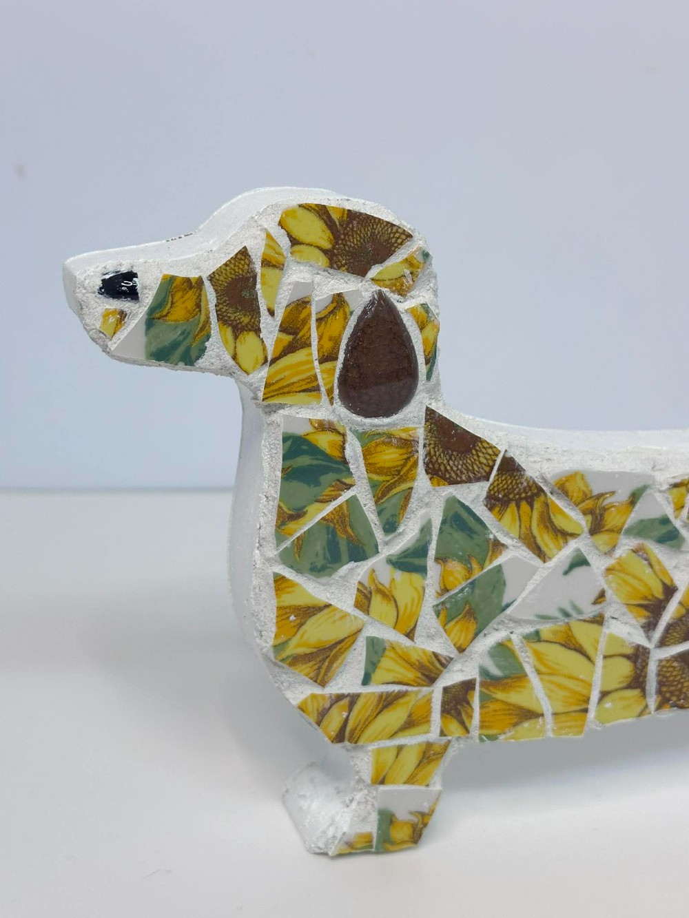 Sunflower weiner dog