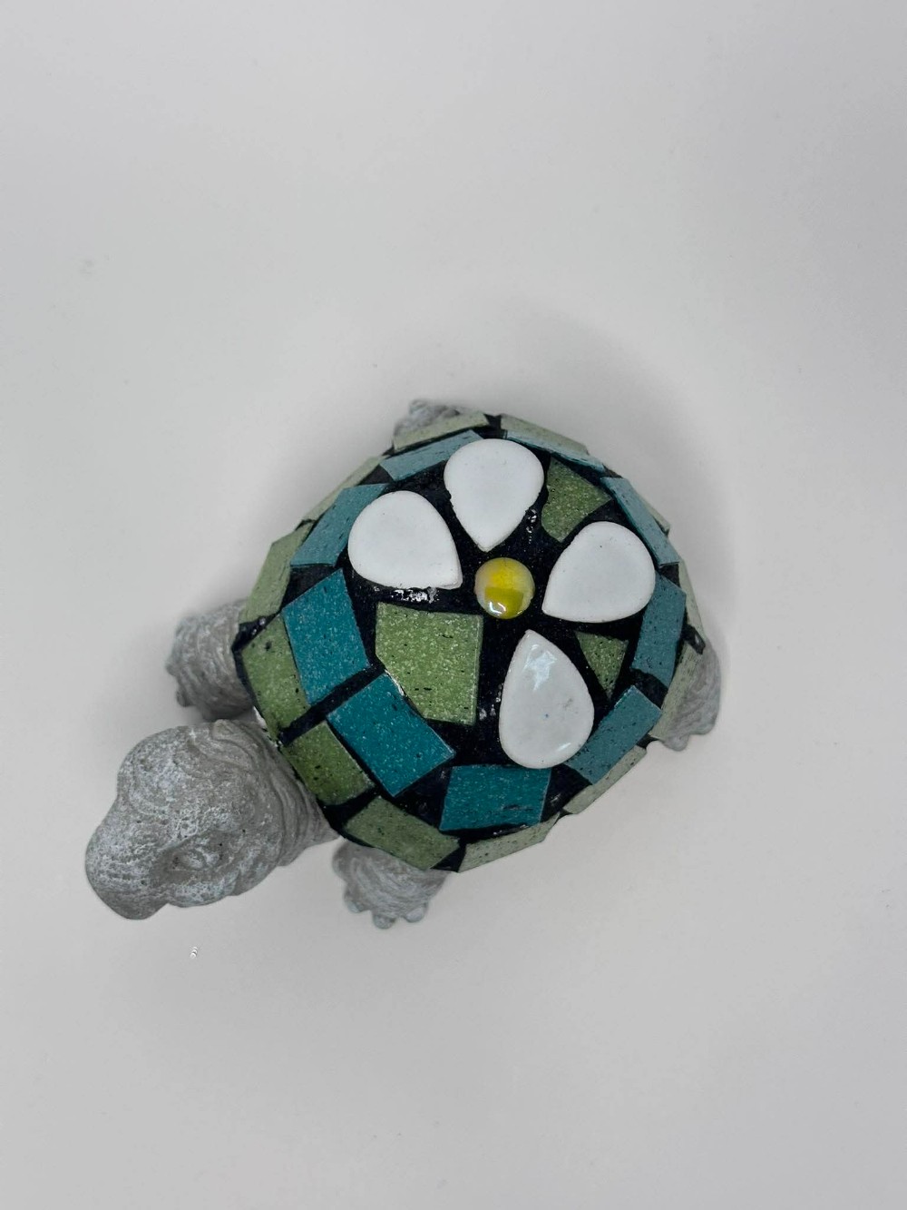 Ana Teen turtle with white flower