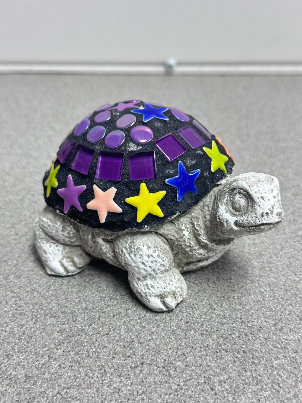 Roberta baby turtle