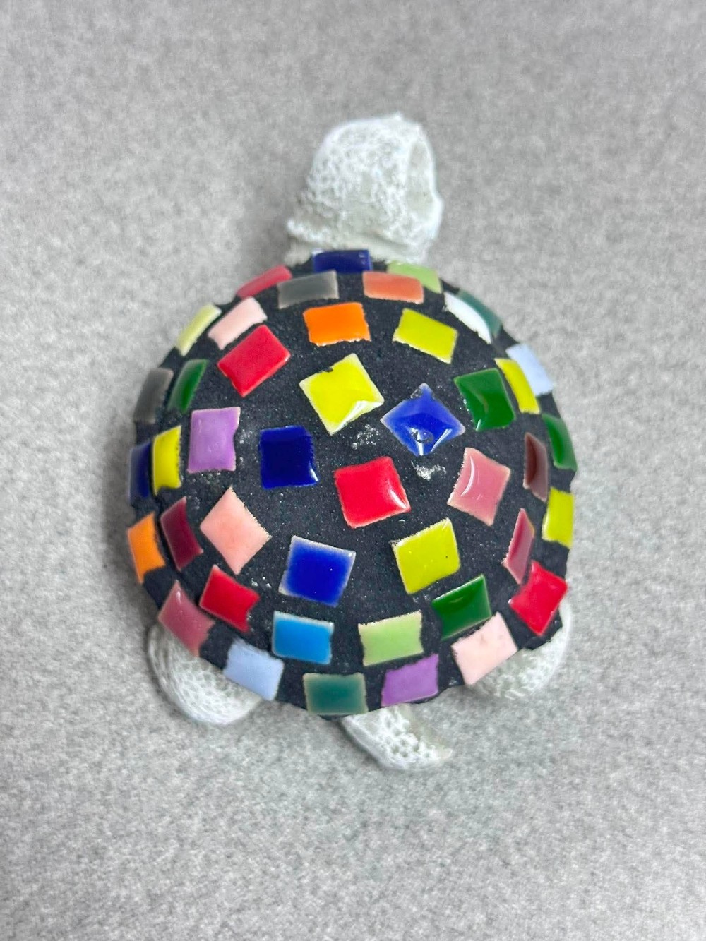 rainbow baby turtle