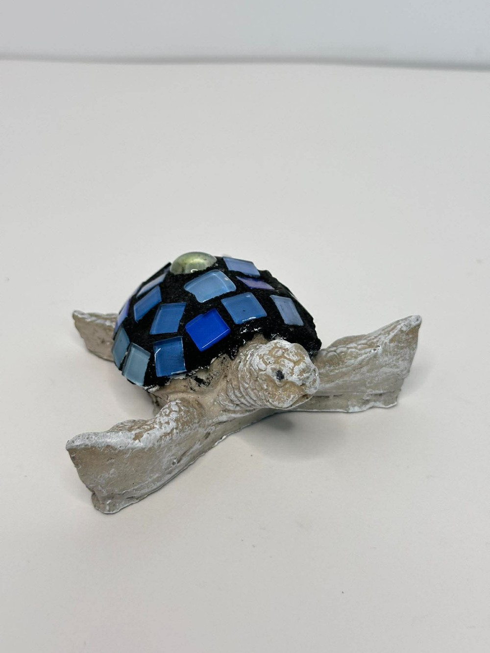 Blue Toned Baby Sea Turtle