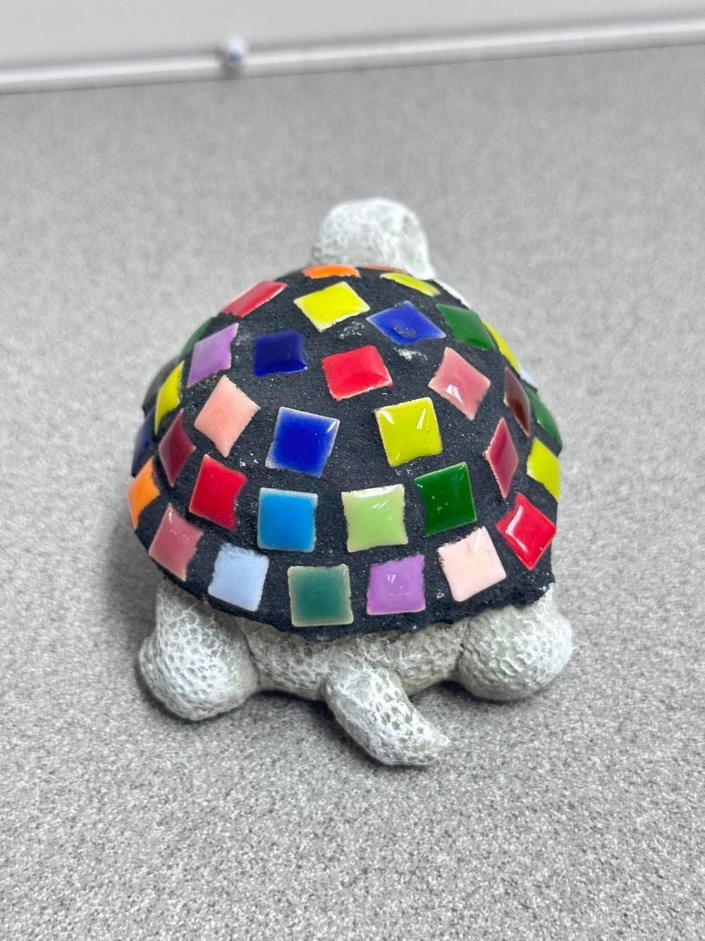 rainbow baby turtle