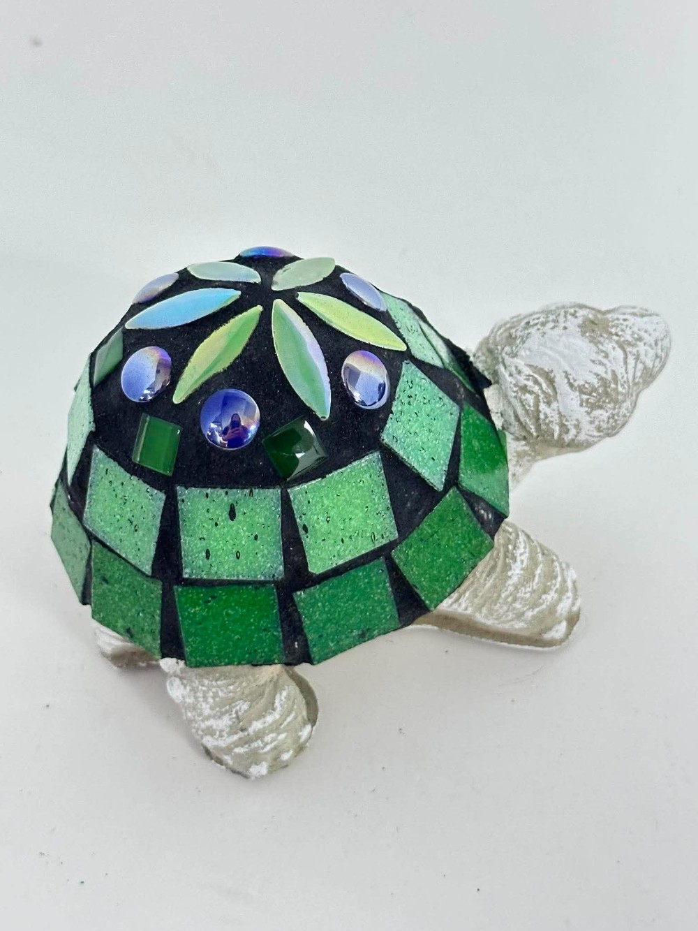 Clara teen turtle
