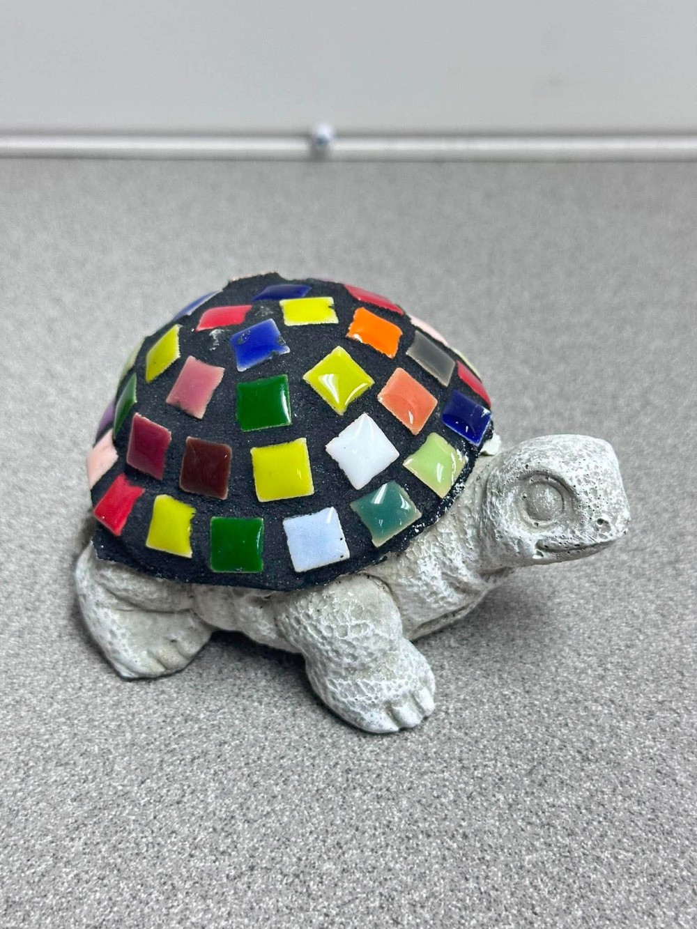 rainbow baby turtle