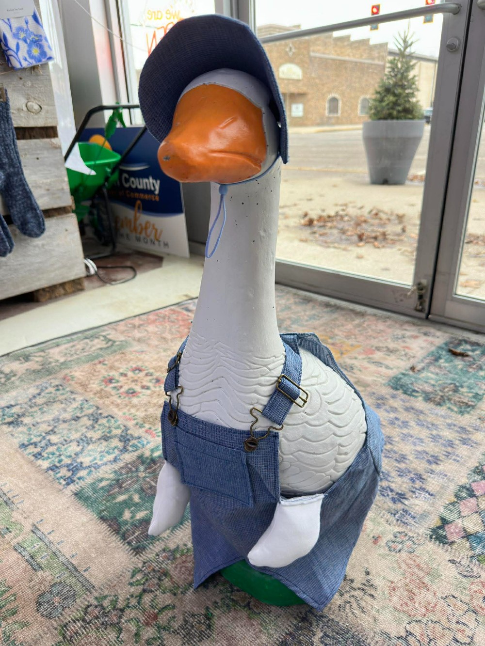 Goose outfit Jean overalls