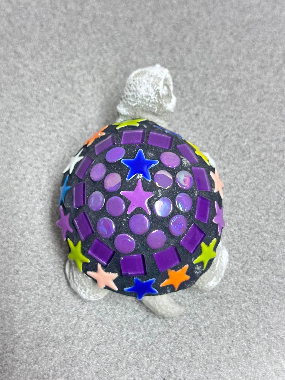 Roberta baby turtle