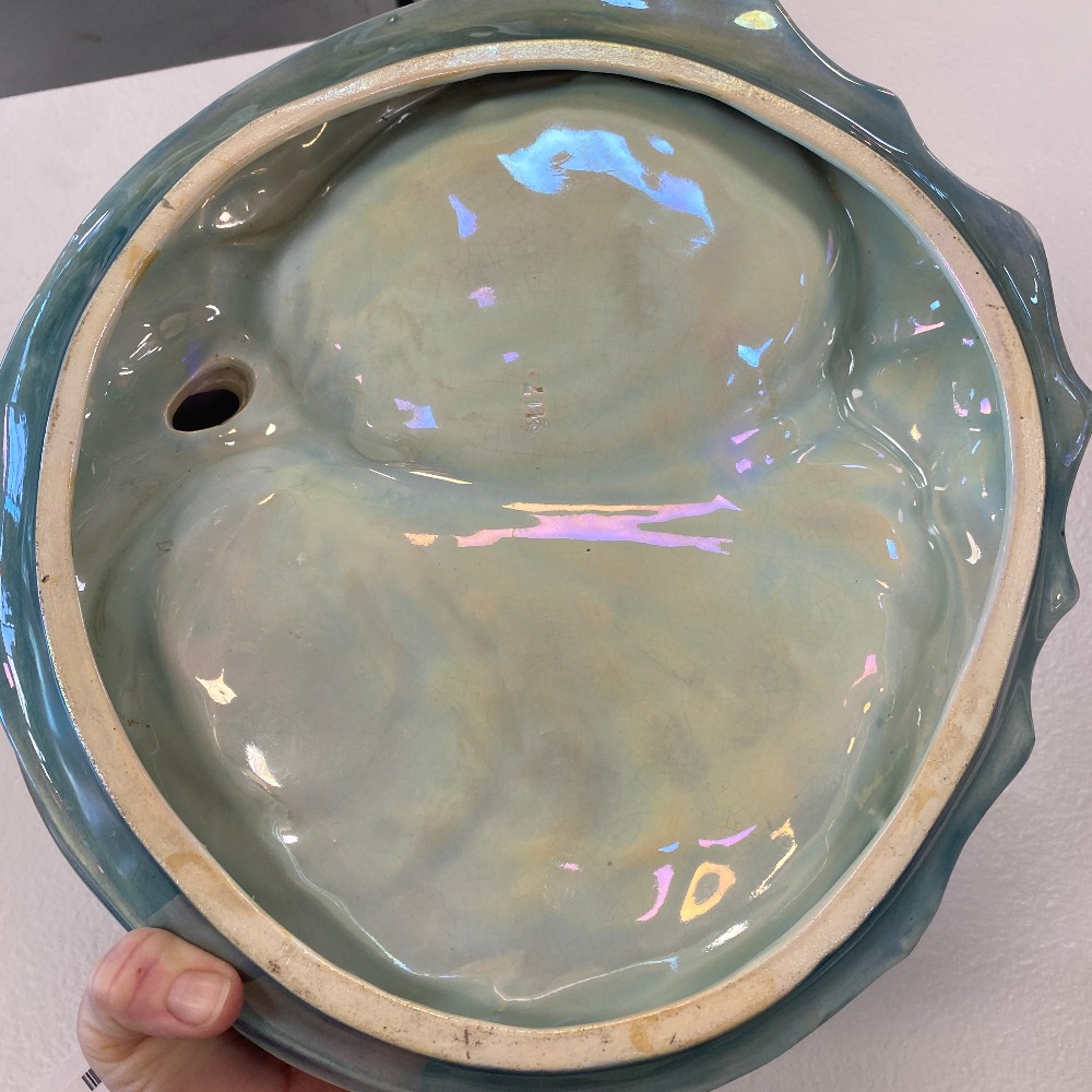 Incredible Seal Sea Lion Ceramic Ocean Dish