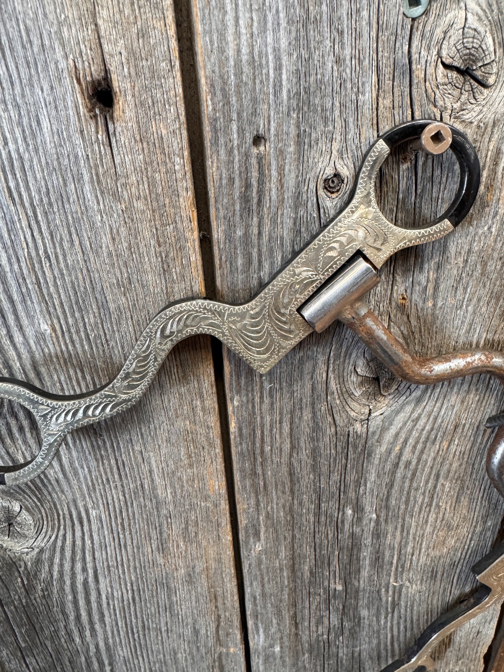 Horse Bits / Curb Straps