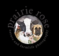 Prairie Rose Tallow