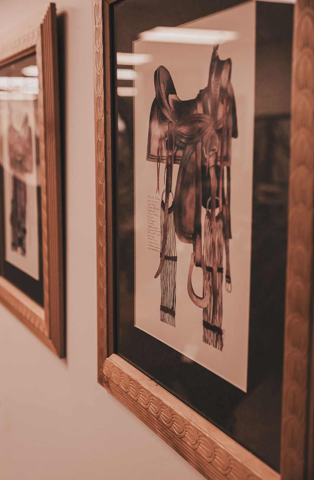 Western Lifestyle and Decor
